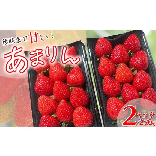 ふるさと納税 いちご 埼玉県 深谷市 加藤さんのいちご園 あまりん 250g×2パック