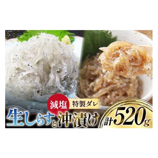 ふるさと納税 魚貝類 しらす 静岡県 吉田町 生しらす 160gx2パック と沖漬け 100g x 2パック 計520g 食べ比べ 小分け セット 丸三水産 静岡県 吉田町 224246…