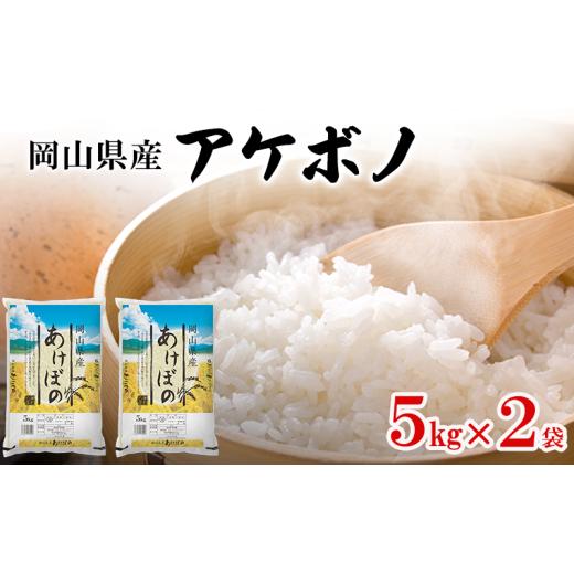 ふるさと納税 米 岡山県 瀬戸内市 岡山県産 アケボノ 5kg×2袋(計10kg) 米 お米 コメ 白米 精米 国産 岡山 瀬戸内市  