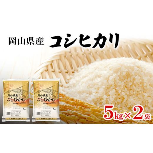 ふるさと納税 米 コシヒカリ 岡山県 瀬戸内市 岡山県産 コシヒカリ 5kg×2袋(計10kg) 米 お米 コメ 白米 精米 国産 岡山 瀬戸内市  