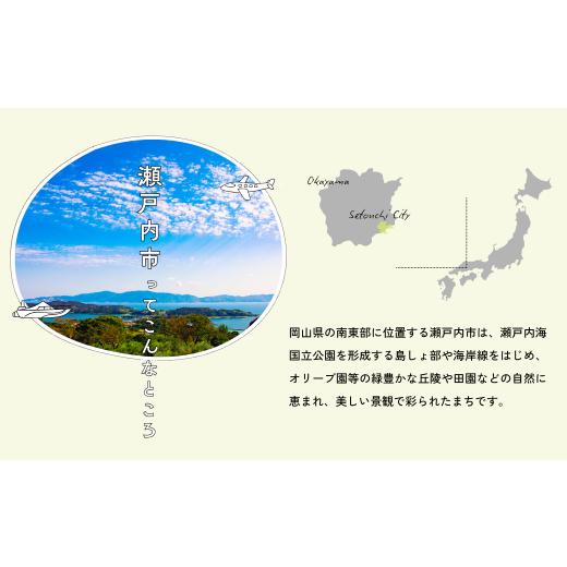 ふるさと納税 雑貨・日用品 岡山県 瀬戸内市 自動シャクリ機 サクラマス 5型 24ボルト 記憶型 (1)自動シャクリ機本体×1 (2)アタッチメント(リガー185orラーク…_2