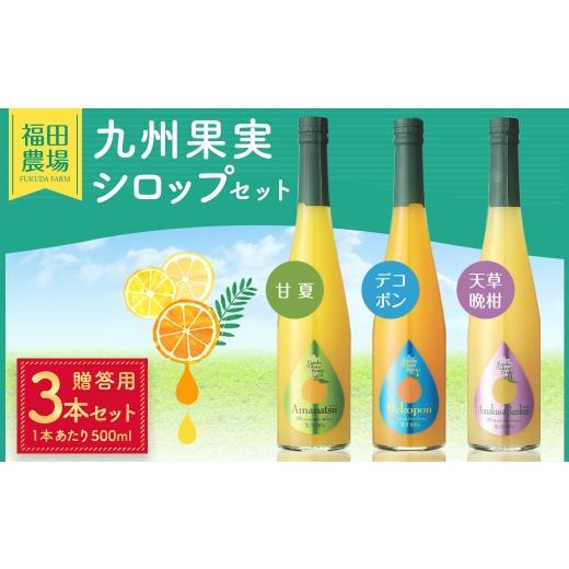ふるさと納税 果汁飲料 セット 熊本県 水俣市 贈答用 九州果実シロップ 3本セット ( 甘夏 、 デコポン 、 天草晩柑 ) 贈答品 プレゼント ギフト シロップ …