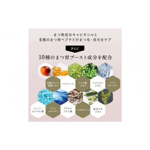 ふるさと納税 美容 愛知県 名古屋市 リバイブラッシュ 6g × 3本セット まつ毛美容液 日本製 まつげ美容液 人気ランキング まつ毛ケア 目元ケアの画像