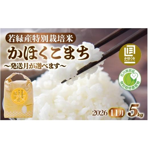 ふるさと納税 米 石川県 かほく市 若緑産 「かほくこまち」 5kg 特別栽培米 2026年11月発送 2026年11月