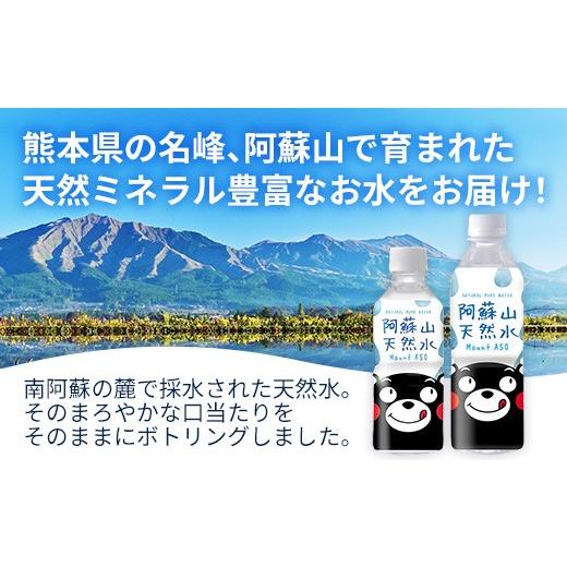 ふるさと納税 水・ミネラルウォーター 熊本県 甲佐町  定期便6ヶ月 熊本のおいしいお水 阿蘇山天然水 500ml×24本（1ケース）（共通返礼品・御船町） - 天然水…の画像