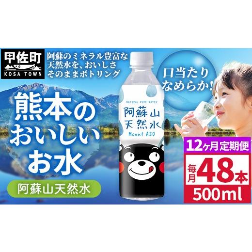 ふるさと納税 水・ミネラルウォーター 熊本県 甲佐町  定期便12ヶ月 熊本のおいしいお水 阿蘇山天然水 500ml×48本（2ケース）（共通返礼品・御船町） - 天然…の画像