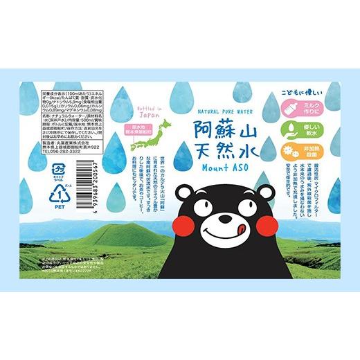 ふるさと納税 水・ミネラルウォーター 熊本県 甲佐町  定期便12ヶ月 熊本のおいしいお水 阿蘇山天然水 500ml×48本（2ケース）（共通返礼品・御船町） - 天然…の画像