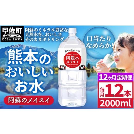 ふるさと納税 水・ミネラルウォーター 熊本県 甲佐町 定期便12ヶ月 熊本のおいしいお水 阿蘇のメイスイ 2L×12本(2ケース)(共通返礼品・御船町) - 天然水…
