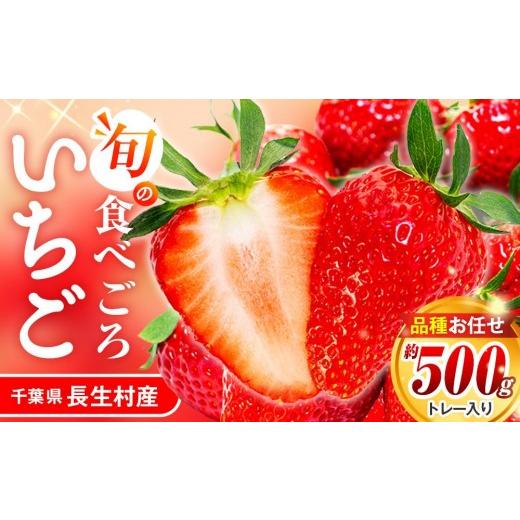 ふるさと納税 いちご 千葉県 長生村 AK00-001 いちご トレー(500g×1個)