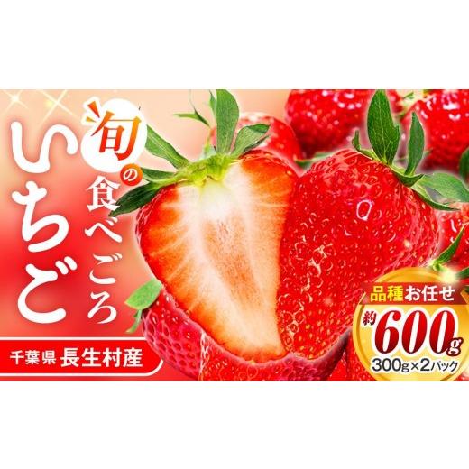 ふるさと納税 いちご 千葉県 長生村 AK00-002 いちご 平パック2個セット(300g×2個)