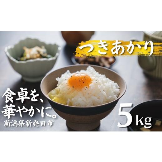 ふるさと納税 米 新潟県 新発田市 令和8年産先行予約 つきあかり 5kg コシヒカリ こしひかり 同等以上の食味 ご飯 備蓄 コメ お米 米 こめ 新潟産 新潟米 新…