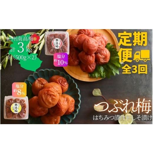 ふるさと納税 加工品等 梅干 和歌山県 みなべ町 定期便全3回 塩分 はちみつ約8% しそ漬け約10% 和歌山県紀州南高梅 つぶれ はちみつ漬け&しそ漬け 訳あり …