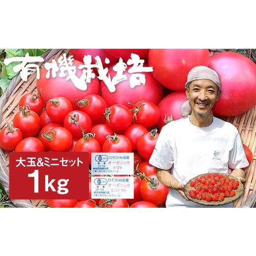 ふるさと納税 野菜類 トマト 岐阜県 飛騨市 令和8年産 26年先行予約 トマトとミニトマトのセット 有機JAS認定 1kg とまと 大玉 甘い 特産 国産 野菜 ミニトマ…