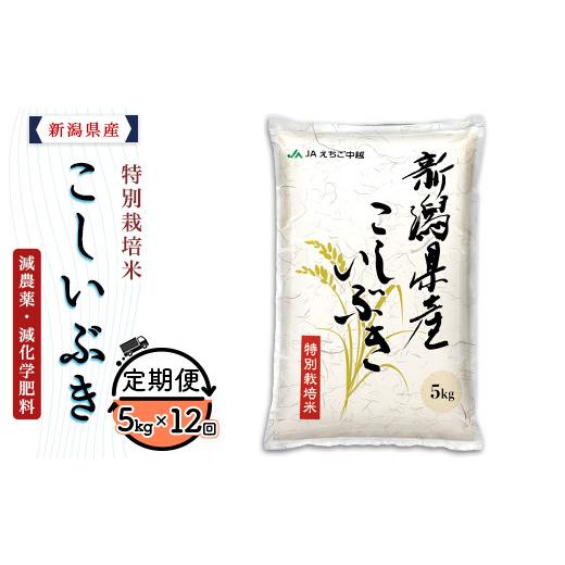 ふるさと納税 米 新潟県 長岡市 75-7K05ZA 12ヶ月連続お届け 新潟県長岡産特別栽培米こしいぶき5kg 2026年6月発送開始 発送開始時期:2026年6月 寄附額:1440…