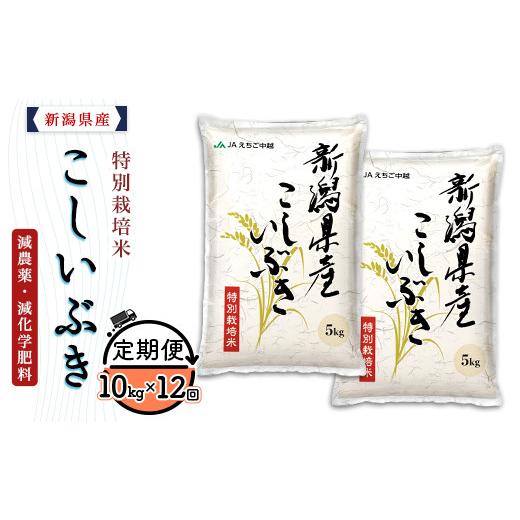 ふるさと納税 米 新潟県 長岡市 75-7K10ZA 12ヶ月連続お届け 新潟県長岡産特別栽培米こしいぶき10kg(5kg×2袋) 2026年6月発送開始 発送開始時期:2026年6月…