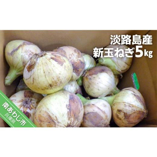 ふるさと納税 野菜類 玉ねぎ 兵庫県 南あわじ市 淡路島産 新玉ねぎ5kgの画像