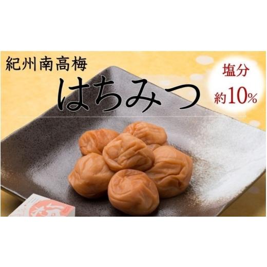 ふるさと納税 加工品等 梅干 和歌山県 みなべ町 紀州南高梅 はちみつ(塩分約10%) 500g yamada017