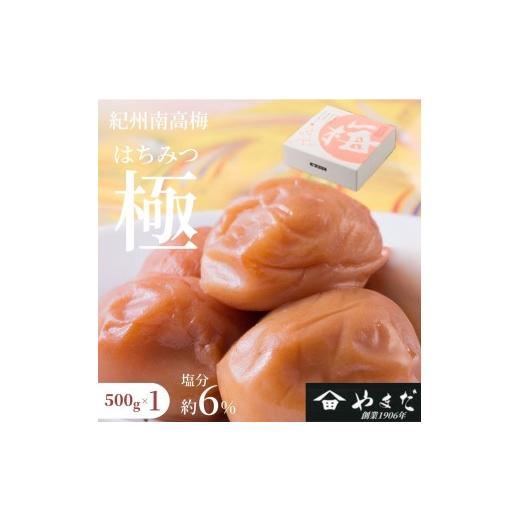 ふるさと納税 加工品等 梅干 和歌山県 みなべ町 紀州南高梅 はちみつ極(塩分約6%) 500g yamada020