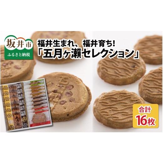ふるさと納税 焼菓子・チョコレート クッキー 福井県 坂井市 五月ヶ? セレクション (五月ヶ瀬 6枚・メイシャローズ 10枚) せんべい ピーナッツ煎餅 ピーナッツ…