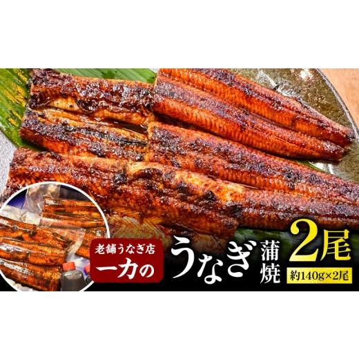 ふるさと納税 うなぎ 宮崎県 宮崎市 一力のうなぎ蒲焼 約140g×2尾|2尾 タレ 鰻のタレ うなぎのタレ 贈答 贈り物 ギフト プレゼント 記念日 お祝い 誕生日 丑…