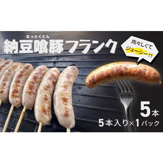 ふるさと納税 肉 ソーセージ 岐阜県 下呂市 納豆喰豚フランク 5本(1本 100g)冷凍 なっとくとん フランクフルト 下呂 5本