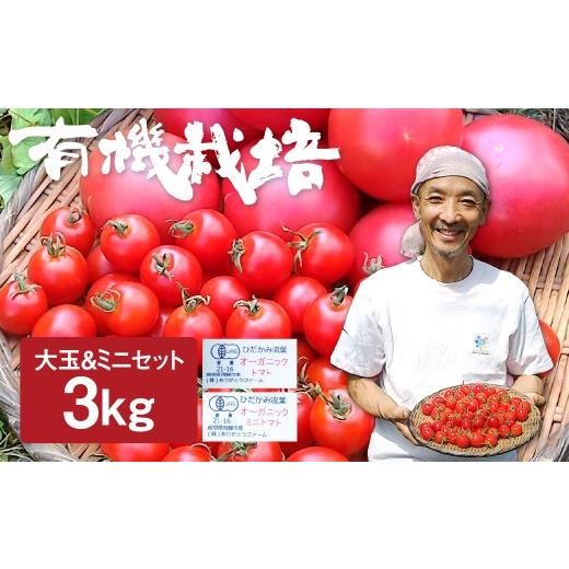 ふるさと納税 野菜類 トマト 岐阜県 飛騨市 令和8年産 26年先行予約 トマトとミニトマトのセット 有機JAS認定 1kg 2kg 3kg とまと 大玉 甘い 特産 国産 野菜 …