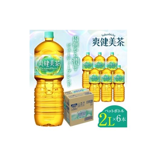 ふるさと納税 お茶類 愛知県 東海市 日本コカ・コーラ 爽健美茶 2L 6本 ペットボトル ケース 1721656