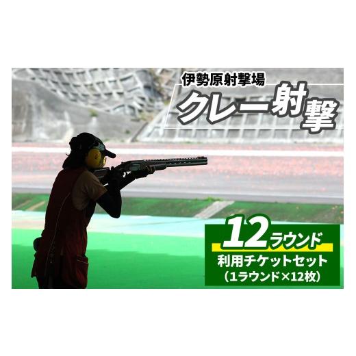 ふるさと納税 体験チケット 神奈川県 伊勢原市 「伊勢原射撃場」クレー射撃 12ラウンド利用チケットセット (1ラウンド×12枚)|アクティビティ 非日常体験 趣…