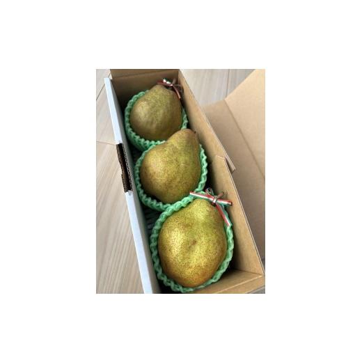 ふるさと納税 梨 山形県 上山市 西洋梨(シルバーベル)大玉3玉 贈答用