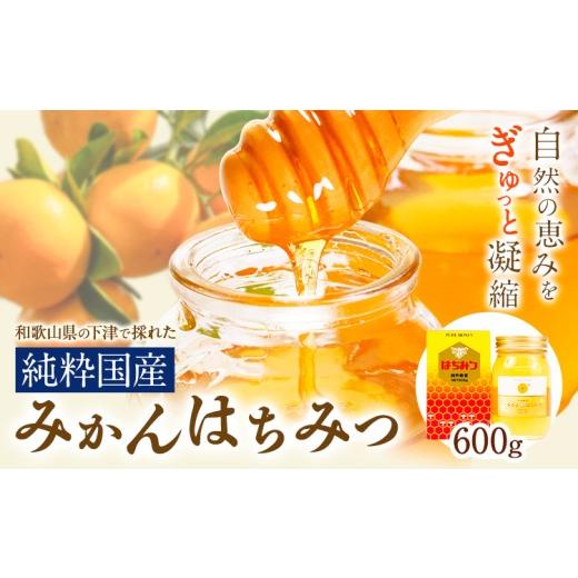 ふるさと納税 加工品等 はちみつ 和歌山県 日高川町 はちみつ 蜂蜜 和歌山県の下津で採れた純粋国産みかんはちみつ 600g 日高川町厳選館[7月中旬-7月末頃出荷…
