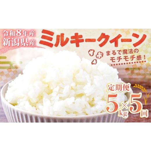 ふるさと納税 米 ミルキークイーン 新潟県 新発田市 令和8年産 先行予約 ミルキークイーン 5kg 5か月 定期便 新潟県産 5回 5ヶ月 減農薬 特栽米 特別栽培米 …