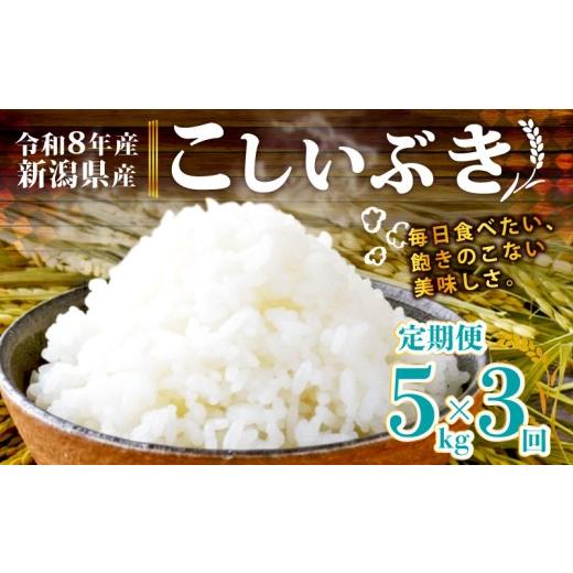 ふるさと納税 米 新潟県 新発田市 令和8年産 先行予約 こしいぶき 5kg 3か月 定期便 新潟県産 新発田産 3カ月 3回 新潟 ふるさと納税 米 お米 白米 米 お米 …