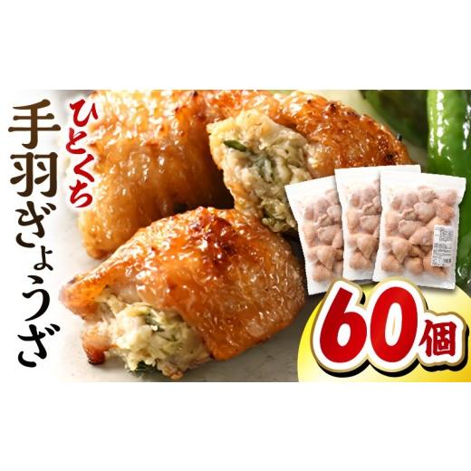 ふるさと納税 惣菜・レトルト 冷凍 宮崎県 宮崎市 ひとくち 手羽 ぎょうざ 計60個 20個入×3パック_M025-005-02 24,000円 順次発送 60個