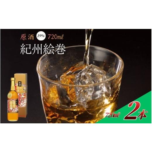 ふるさと納税 お酒 和歌山県 みなべ町 紀州絵巻 梅酒 720ml ×2本(アルコール度数19%)紀州南高梅使用 uumicbn012