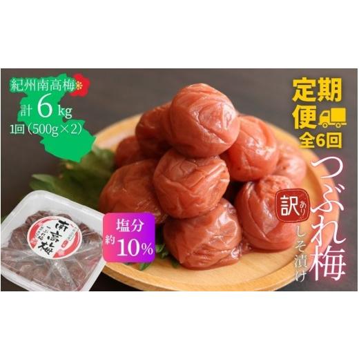 ふるさと納税 加工品等 梅干 和歌山県 みなべ町 定期便全6回 塩分約10% 和歌山県紀州南高梅つぶれ しそ漬け 訳あり 500g×2 agrjpn-tkb008