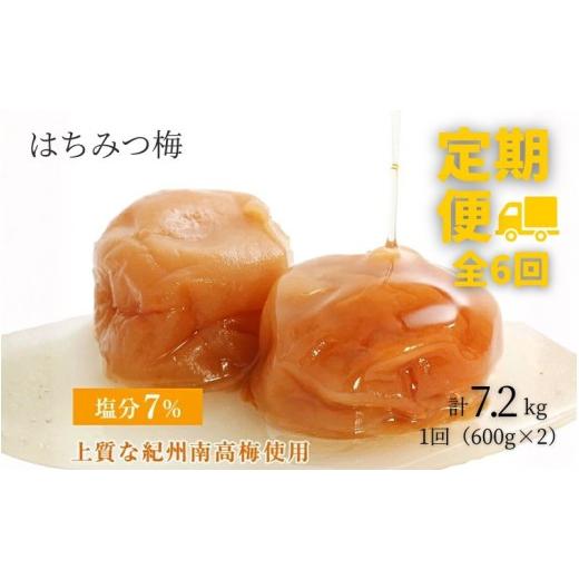 ふるさと納税 加工品等 梅干 和歌山県 みなべ町 定期便全6回 塩分7% はちみつ梅干し1.2kg 紀州南高梅 和歌山県産 ご家庭用 baijuen-tkb002