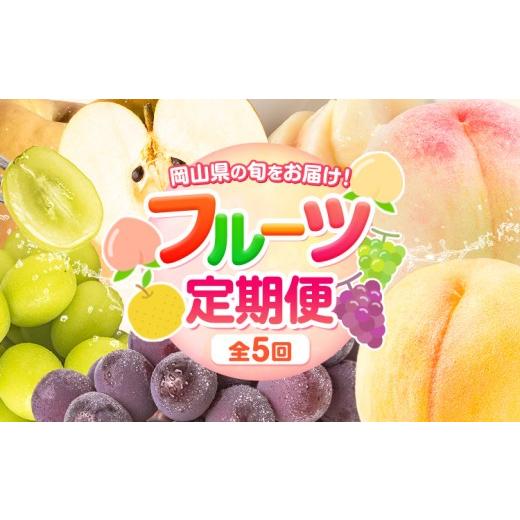 ふるさと納税 もも 岡山県 矢掛町 岡山県の 贅沢 フルーツ定期便 全5回 白桃 黄桃 ニューピオーネ シャインマスカット 梨[7月-12月末頃出荷]岡山県 矢掛町 …