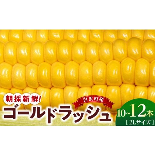 ふるさと納税 とうもろこし 和歌山県 白浜町 朝採 新鮮 白浜町産 ゴールドラッシュ とうもろこし 2Lサイズ 10〜12本 はたごや農園