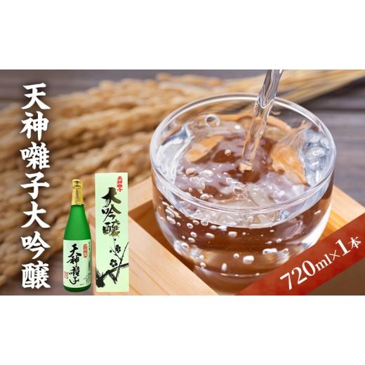 ふるさと納税 日本酒 大吟醸酒 新潟県 十日町市 天神囃子大吟醸 720ml 日本酒 酒 お酒 お取り寄せ 贈り物 ギフト 新潟県 十日町市