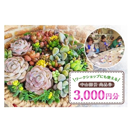 ふるさと納税 地元のお買物券 茨城県 那珂市 中山園芸 商品券3,000円分 商品券 3000円 3千円 ワークショップ 植物 園芸 関連商品 初心者 お子様 大人 歓迎 モ…