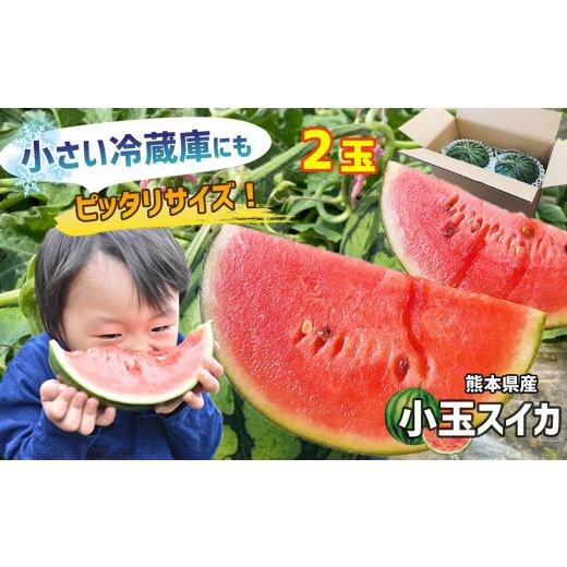 ふるさと納税 スイカ 熊本県 玉名市 4月〜6月発送 スイカ 王国 熊本 小玉 すいか 2玉 熊本県産 果物 西瓜 フルーツ | くだもの 小玉スイカ 小玉すいか 熊本県…