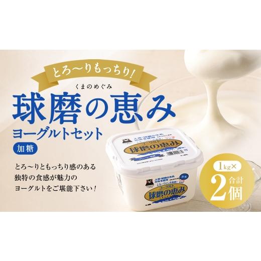 ふるさと納税 菓子 ヨーグルト 熊本県 あさぎり町 とろ〜り食感 球磨の恵みヨーグルト 加糖タイプ 2kg(1kg×2パック) ヨーグルト 加糖 とろり食感 健康 牛乳…