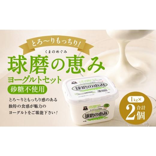 ふるさと納税 菓子 ヨーグルト 熊本県 あさぎり町 とろ〜り食感 球磨の恵みヨーグルト 砂糖不使用タイプ 2kg(1kg×2パック) ヨーグルト 砂糖不使用 とろり食…