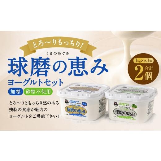 ふるさと納税 菓子 ヨーグルト 熊本県 あさぎり町 とろ〜り食感 球磨の恵みヨーグルトセット 1kg×2パック ( 砂糖不使用 ・ 加糖 各1パック ) ヨーグルト とろ…