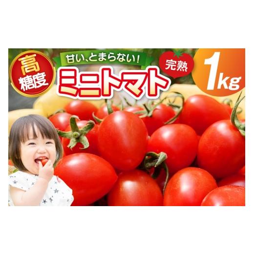 ふるさと納税 トマト ミニトマト 石川県 宝達志水町 トマト 〜高糖度 しあわせのトマト〜 ミニトマト アイコ 1kg 会宝産業 石川県 宝達志水町 38601342 野菜 …