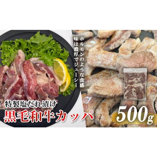 ふるさと納税 牛肉 ホルモン 静岡県 小山町 黒毛和牛カッパ(肉ホルモン) 特製塩だれ漬け 500g | 肉 牛 牛肉 焼肉 BBQ 人気 パック 真空 真空パック 冷凍 静…