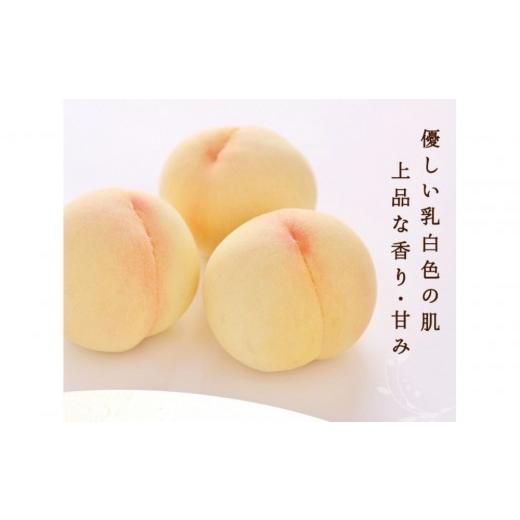 ふるさと納税 もも 岡山県 岡山市 定期便全3回 もも ぶどう 晴れの国岡山フルーツ定期便(7月・8月・9月お届け)岡田青果