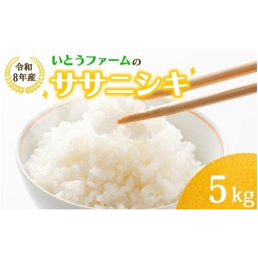 ふるさと納税 米 ササニシキ 宮城県 涌谷町 いとうファームの令和8年産「ササニシキ」白米 5kg 2026年11月より順次発送予定