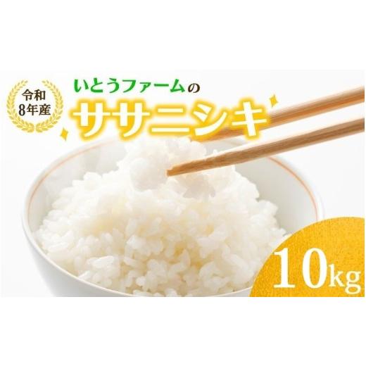ふるさと納税 米 ササニシキ 宮城県 涌谷町 いとうファームの令和8年産「ササニシキ」白米 10kg 2026年11月より順次発送予定