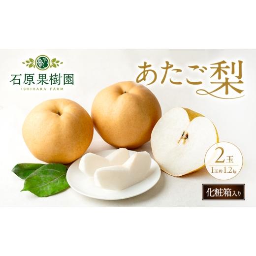 ふるさと納税 梨 岡山県 玉野市 梨 2026年 先行予約 あたご梨 2玉 (1玉 約1.2kg) 化粧箱 11月下旬〜12月中旬頃発送 ナシ なし 岡山県産 国産 フルーツ 果物 ギ…